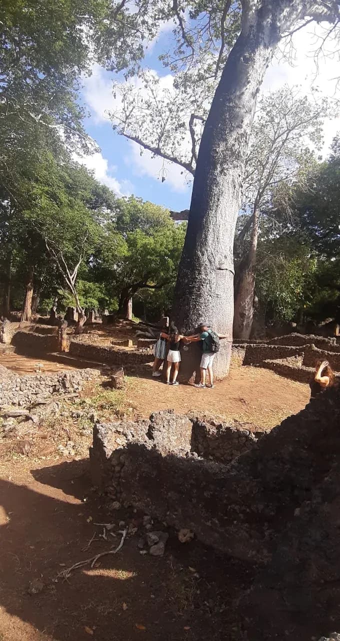 Bezoekers aan de voet van een monumentale baobab, langs het rode aarden pad.
